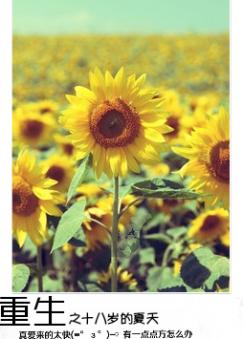 ����֮ʮ���������