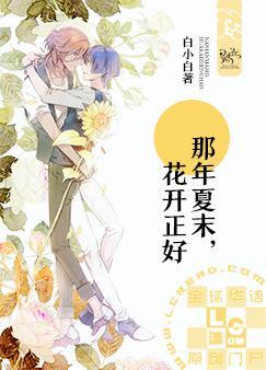 ������ĩ����������