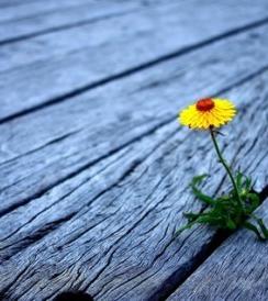 �ǳ����ǳ���