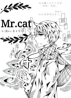 Mr.cat
