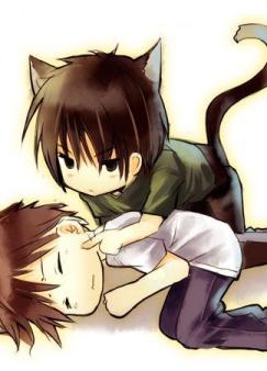 �����ǵ���