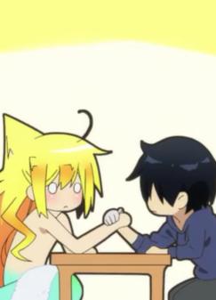 ����������������Ҫ����