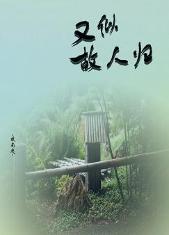 ���ƹ��˹�