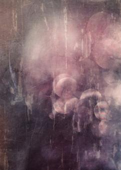 ���Ͼ���