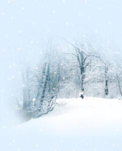 ����ʮ����