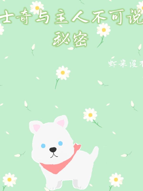 ��ʿ�������˲���˵������